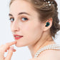 Bluetooth Wireless Earphones